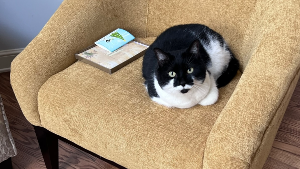 Lost Pet: Baylee