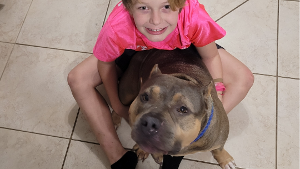 Lost Pet: Stella Rose Ferrell