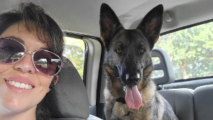 Lost Pet: Belle