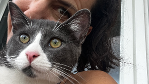 Lost Pet: Indy