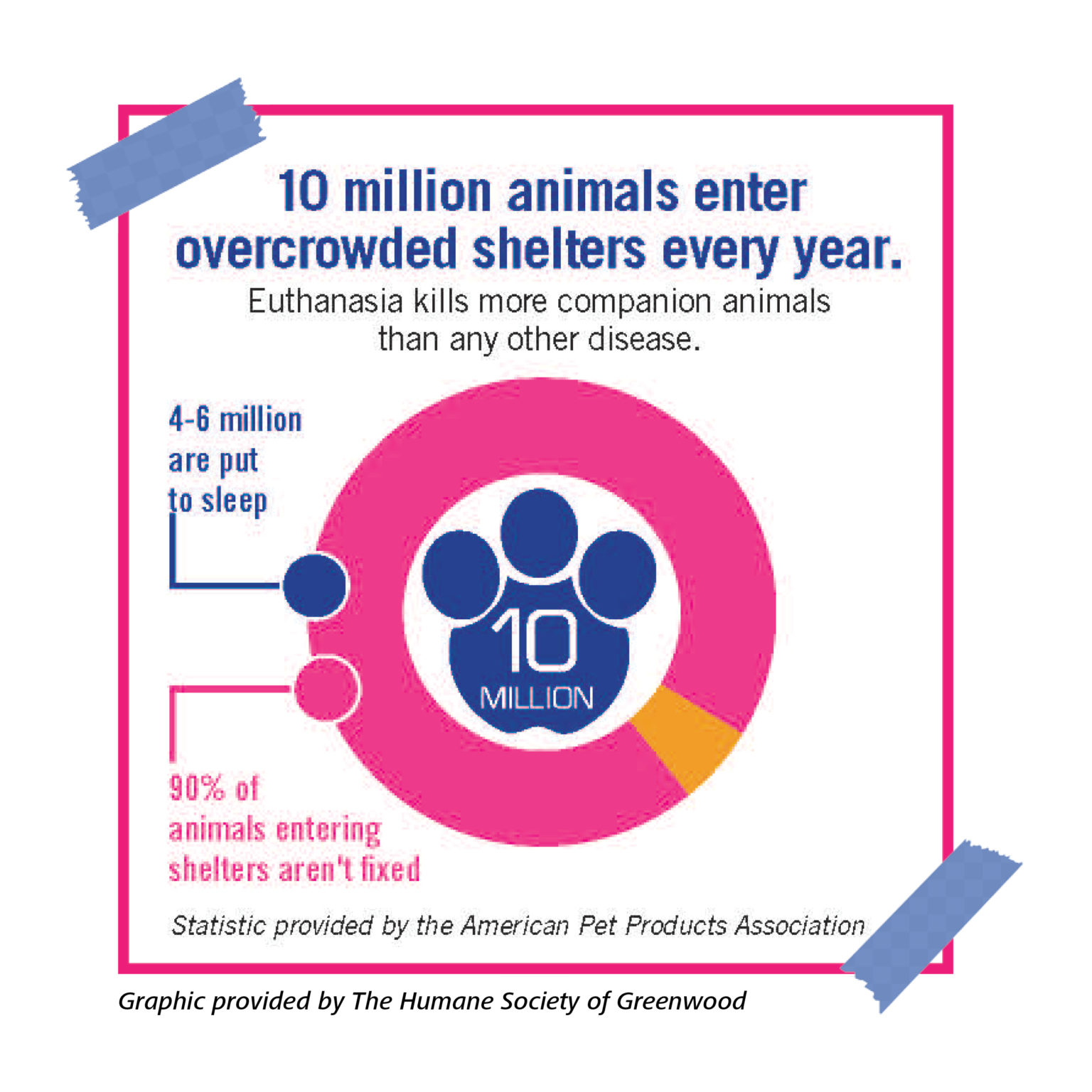 Don't Litter The Importance of Spaying and Neutering Your Pet Blog