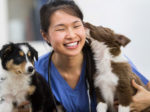 How Microchipping can Increase Vet Practice Revenue