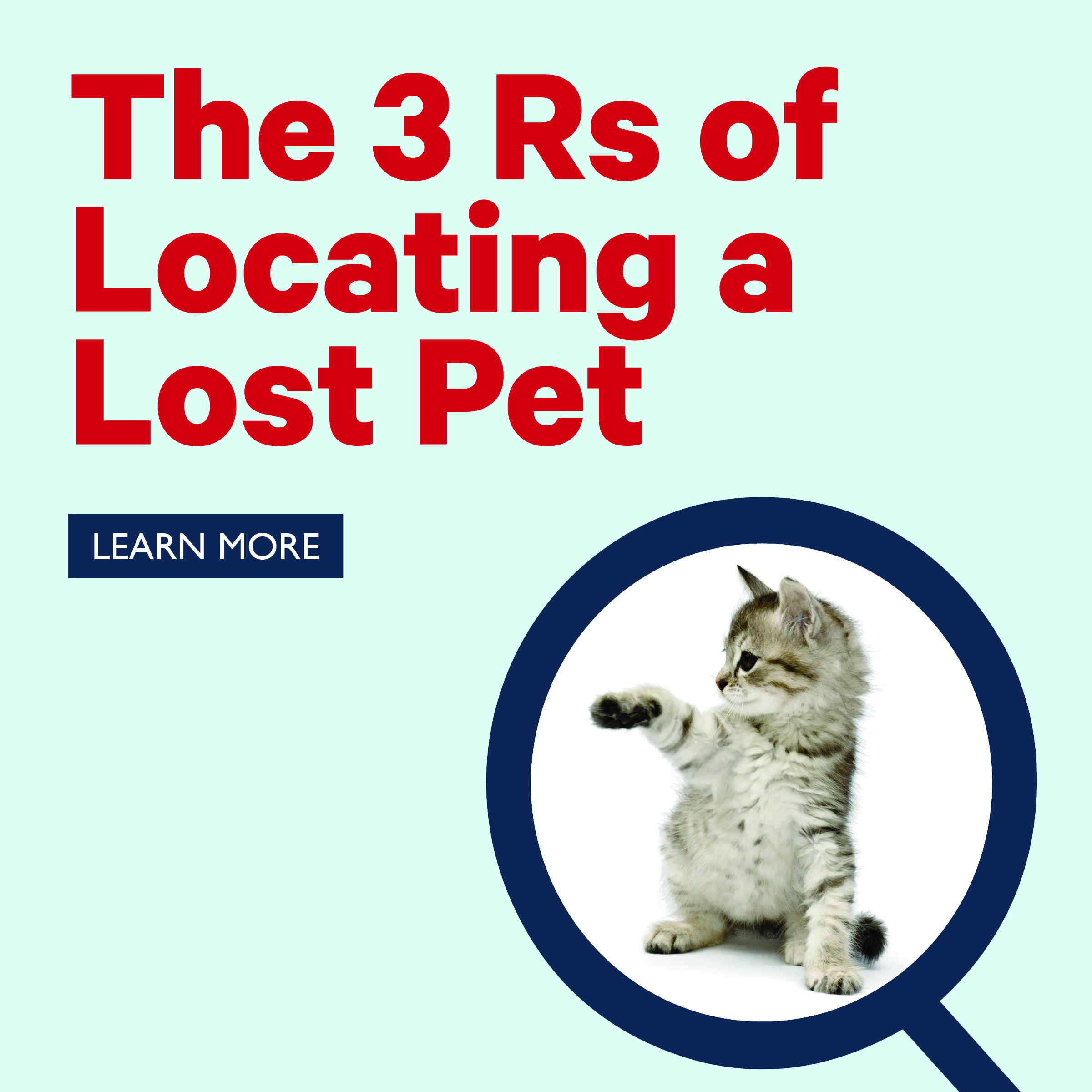 Tips for Lost Pet Recovery - PetLink