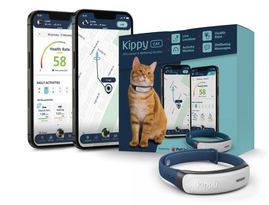 How to Watch Your Pets When You’re not at Home Blog PetLink