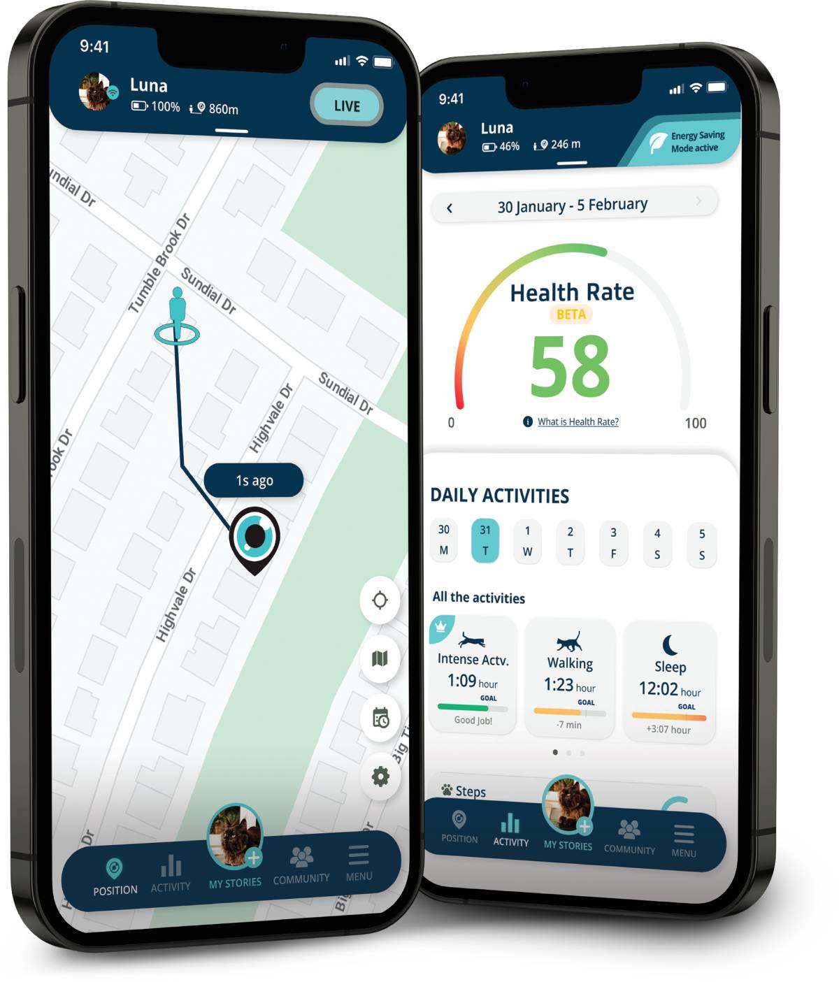 The Best GPS Collar and Tracker for Cats Blog PetLink